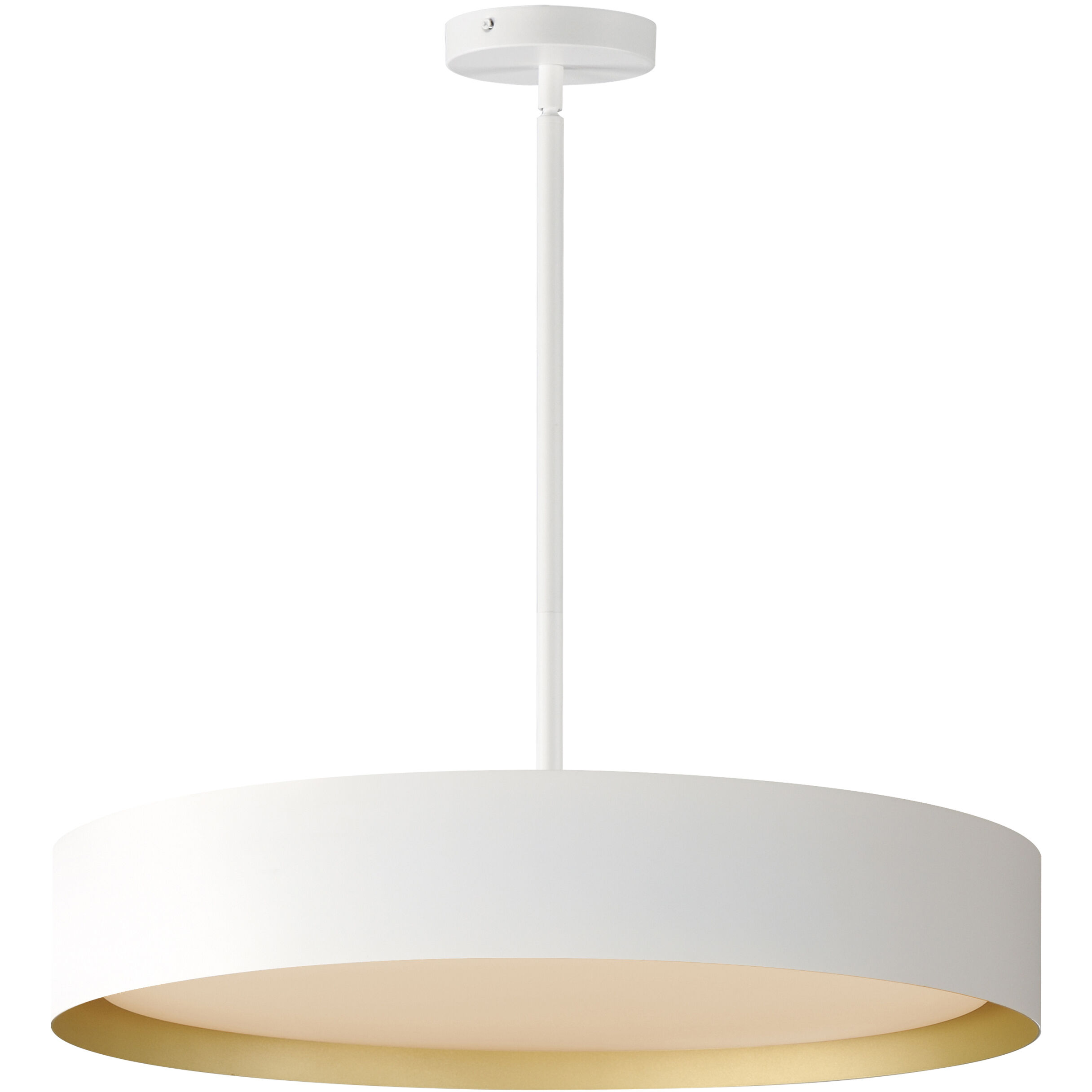 Echo 1 Light 24.00 inch Pendant