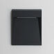 Steppes LED 9.5 inch Black Outdoor Wall Mount