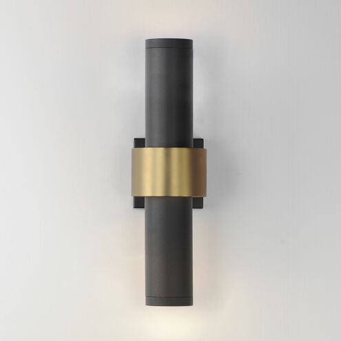 Reveal Outdoor LED 18 inch Black with Gold Outdoor Wall Mount
