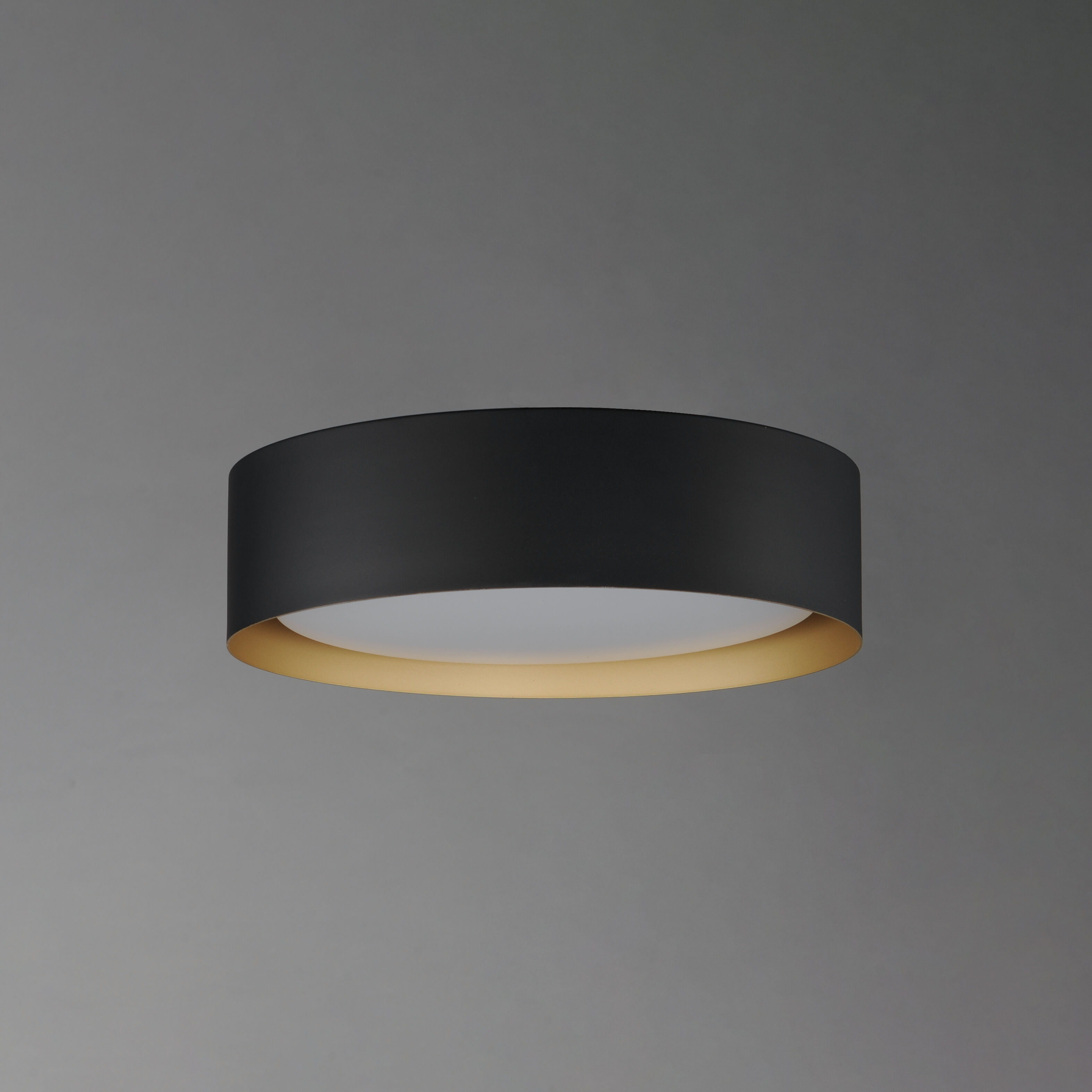 Echo LED 16 inch Black and Gold Flush Mount Ceiling Light in Black/Gold