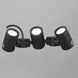 Tree Hugger 12 5 watt Black Outdoor Pathway Light
