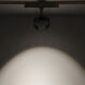 Continuum 1 Light 24 Black Track Light Ceiling Light in White