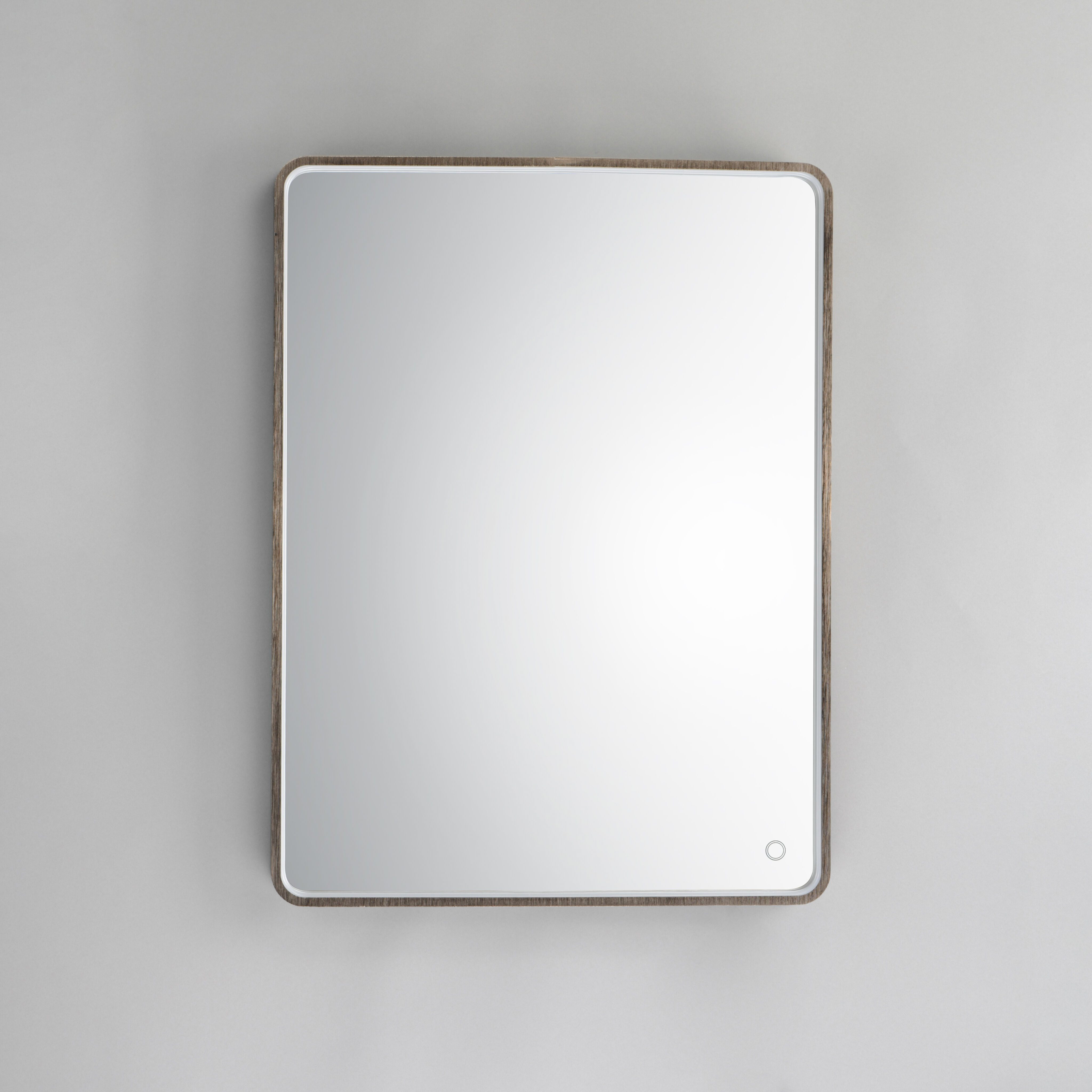 Mirror 31.5 X 23.75 inch Anodized Bronze LED Wall Mirror