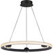 Nodes LED 24 inch Black Ring Pendant Ceiling Light