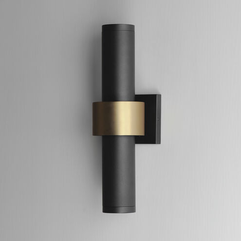 Reveal Outdoor LED 18 inch Black with Gold Outdoor Wall Mount