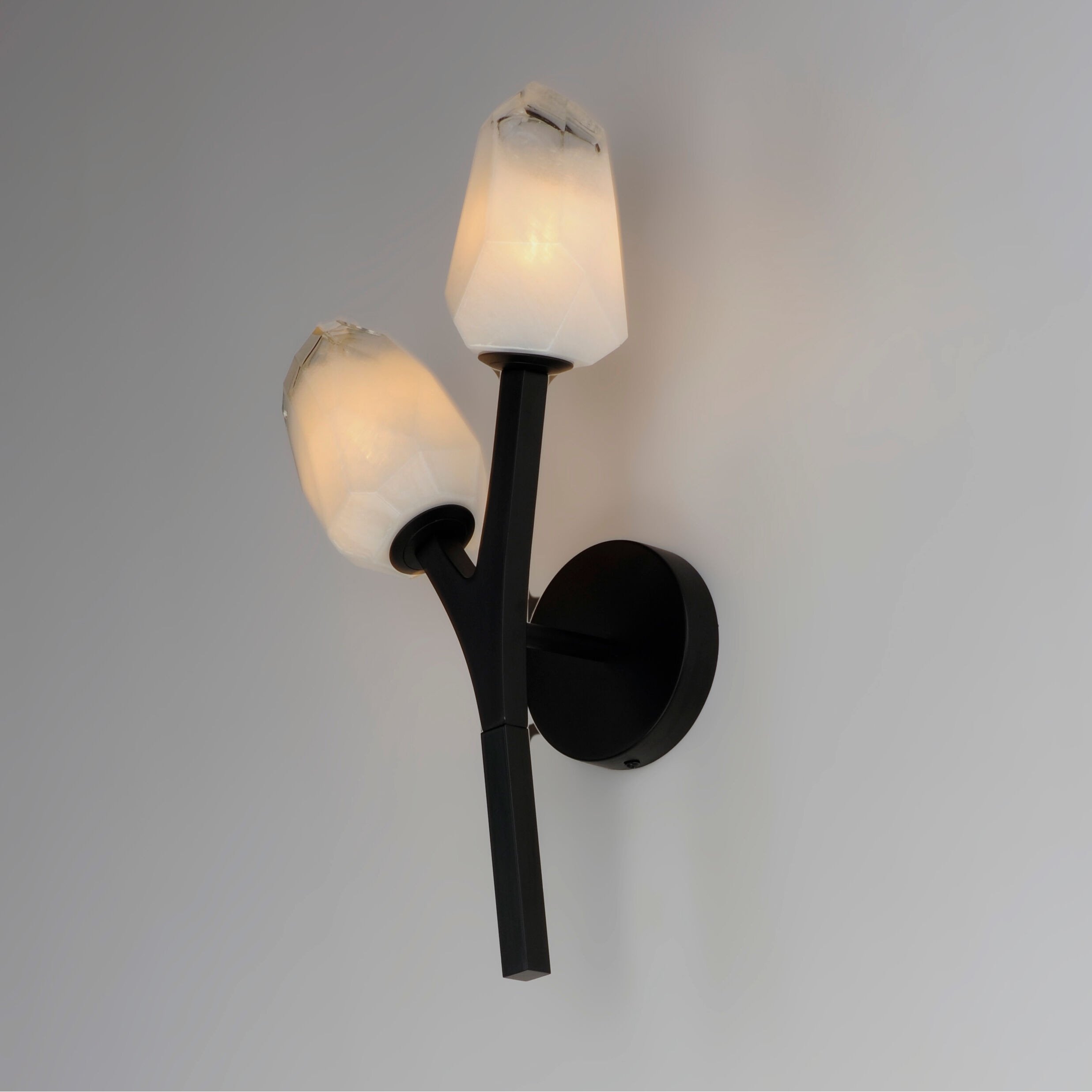 Blossom LED 10.5 inch Black Wall Sconce Wall Light