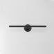 Dorian 15 watt 23 inch Black Picture Light Wall Light
