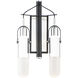 Capsule LED 12.5 inch Black and Brushed Aluminum Bath Vanity Light Wall Light