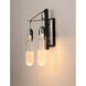 Capsule LED 12.5 inch Black and Brushed Aluminum Bath Vanity Wall Light
