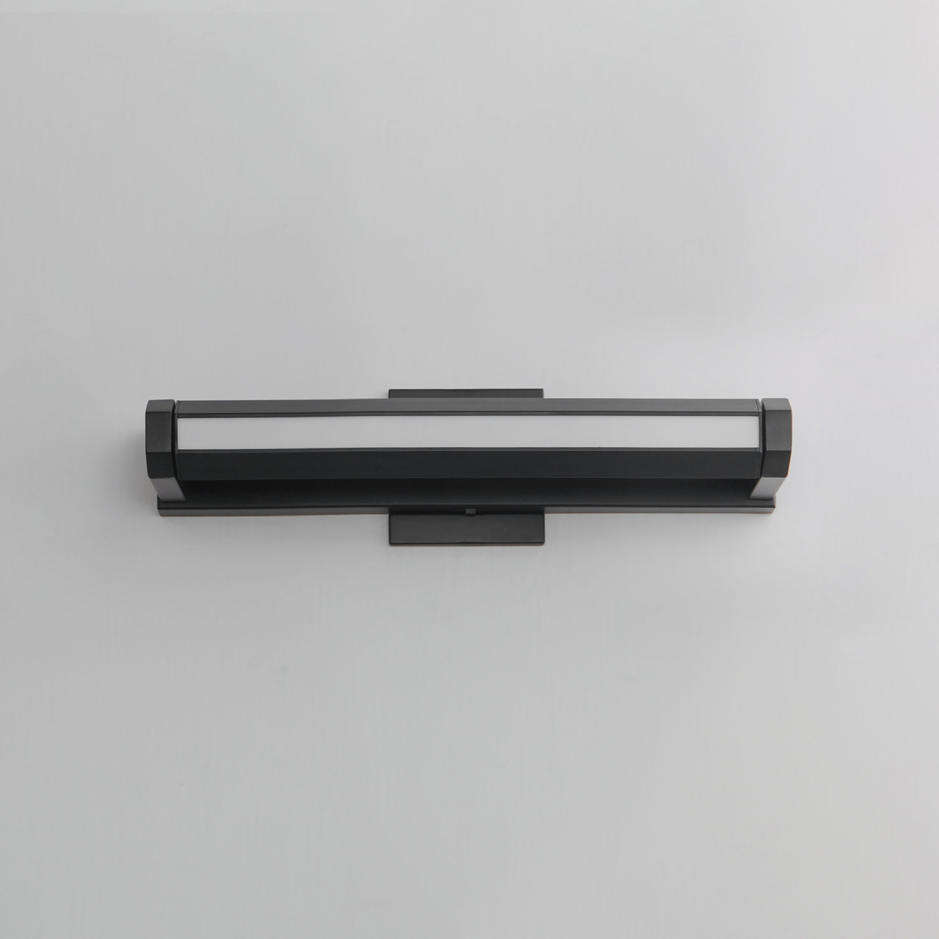 Braque Wall Sconce Wall Light in Black