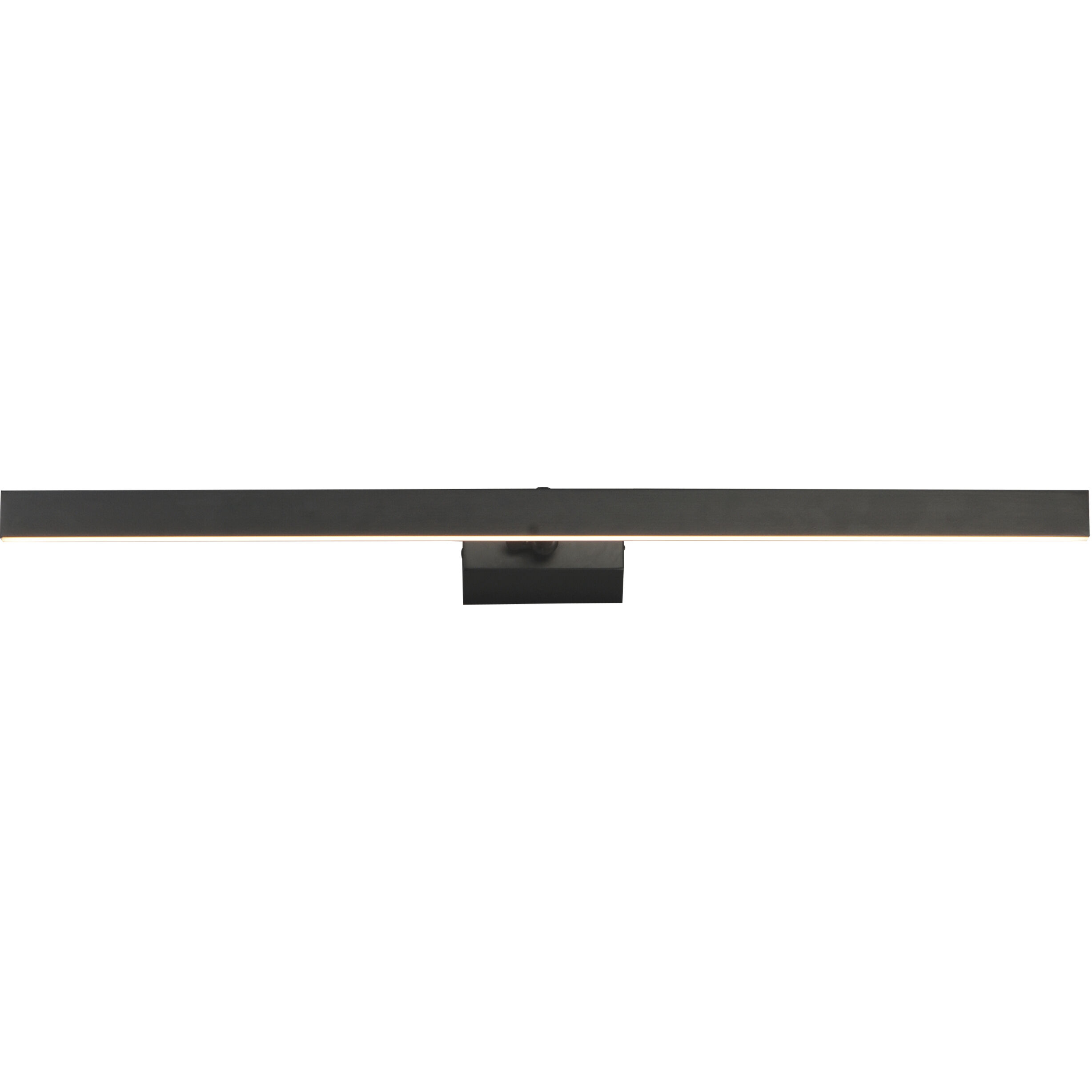 Pasha Wall Sconce Wall Light in Black