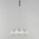 Burst LED 17 inch Satin Nickel Multi-Light Pendant Ceiling Light in Clear