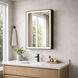 Bevel 36 X 24 inch Brushed Black LED Mirror