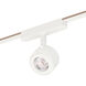 Continuum 1 Light 120-277 White Track Light Ceiling Light