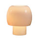 Magik 17.25 inch 100 watt Table Lamp Portable Light