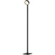 Embrace 64.75 inch 10.00 watt Black Floor Lamp Portable Light