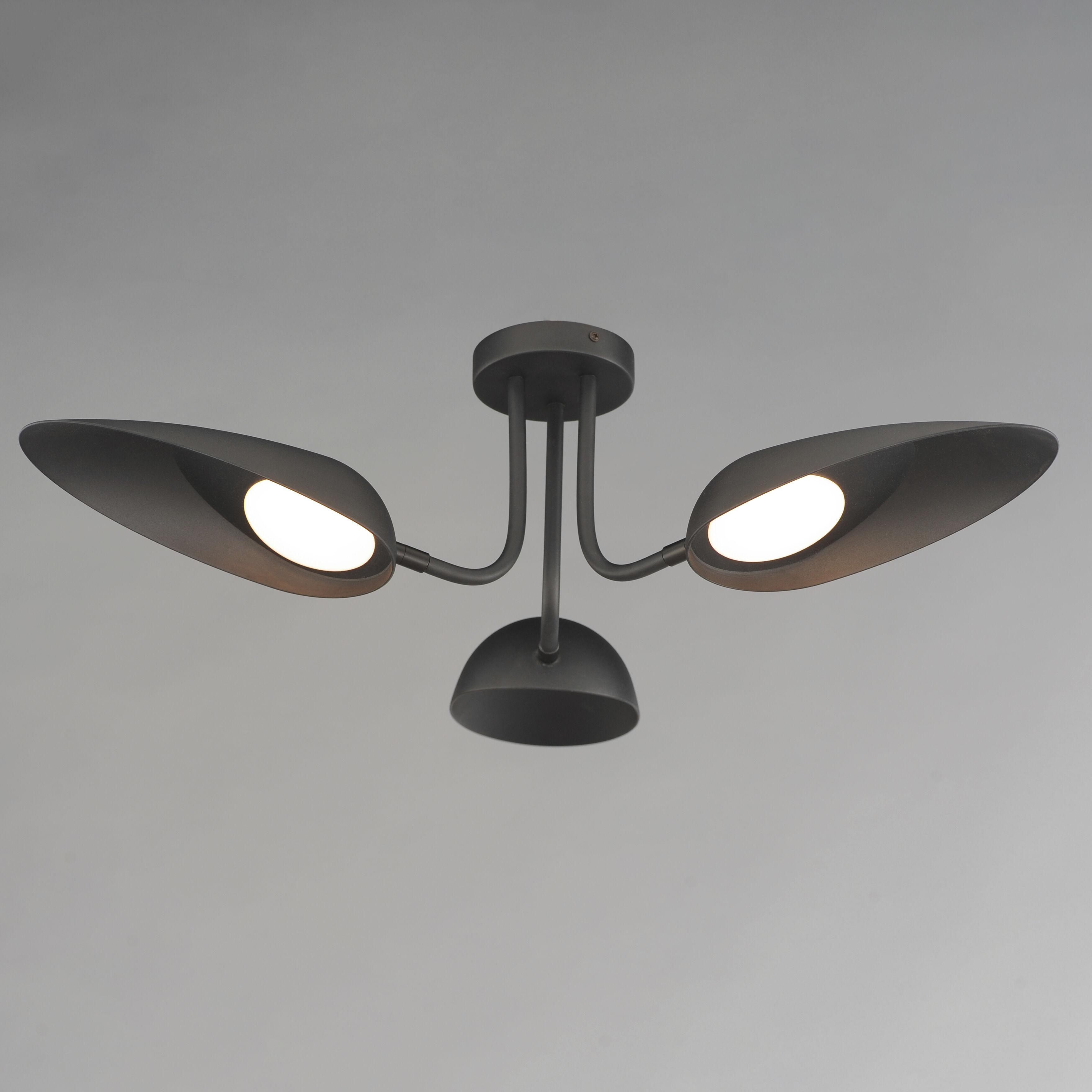 Marsh LED 32 inch Black Flush Mount Ceiling Light