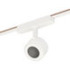 Continuum 1 Light 120-277 White Track Light Ceiling Light