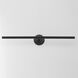 Dorian 18 watt 30.75 inch Black Picture Light Wall Light