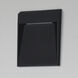 Steppes LED 9.5 inch Black Outdoor Wall Mount