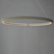 Kaia LED 48.25 inch Gray Ring Pendant Ceiling Light