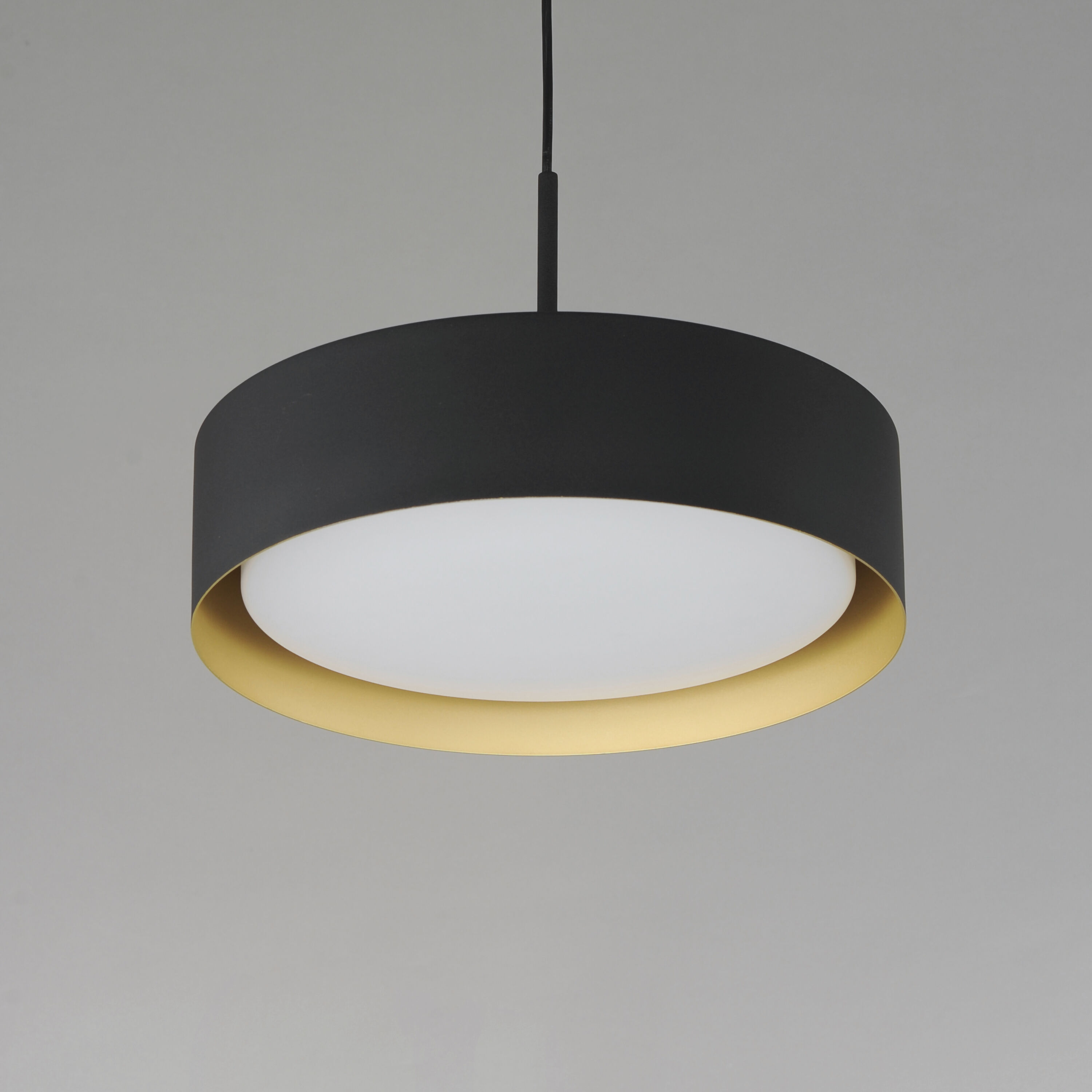 Echo LED 16 inch Black and Gold Single Pendant Ceiling Light in Black/Gold