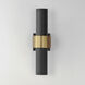 Reveal Outdoor LED 18 inch Black and Gold Outdoor Wall Mount