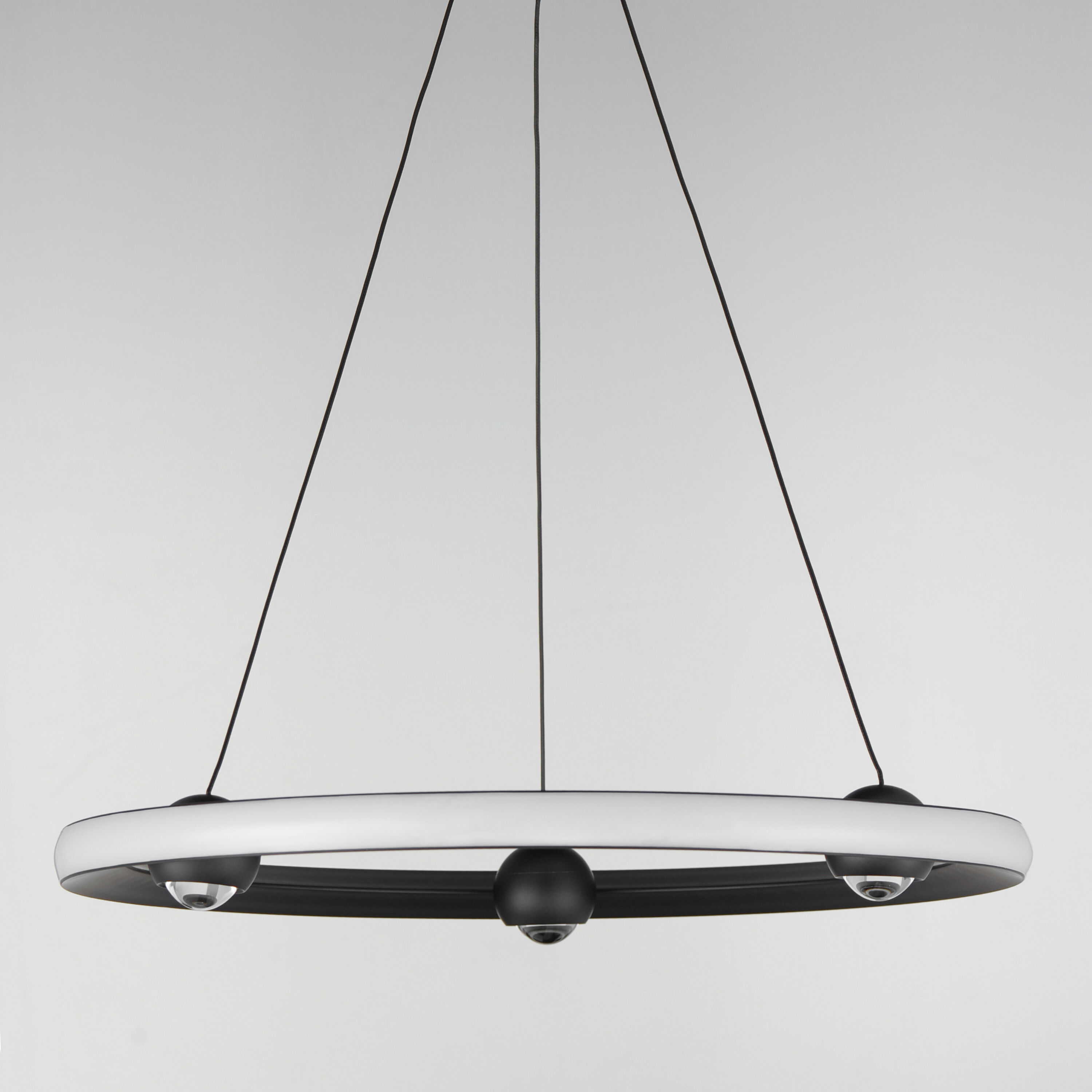 Nodes LED 24 inch Black Ring Pendant Ceiling Light