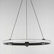 Nodes LED 24 inch Black Ring Pendant Ceiling Light