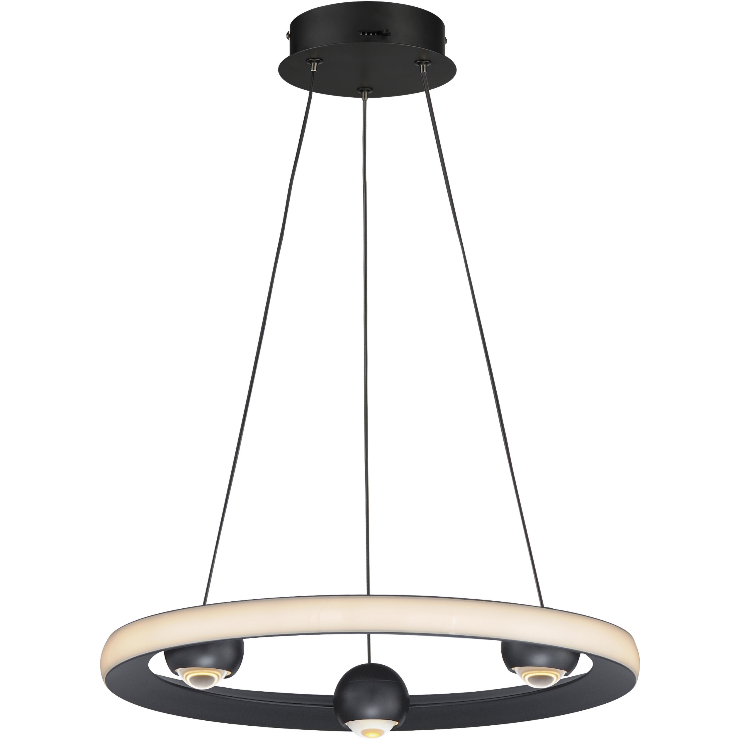 Nodes LED 18 inch Black Ring Pendant Ceiling Light
