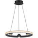 Nodes LED 18 inch Black Ring Pendant Ceiling Light