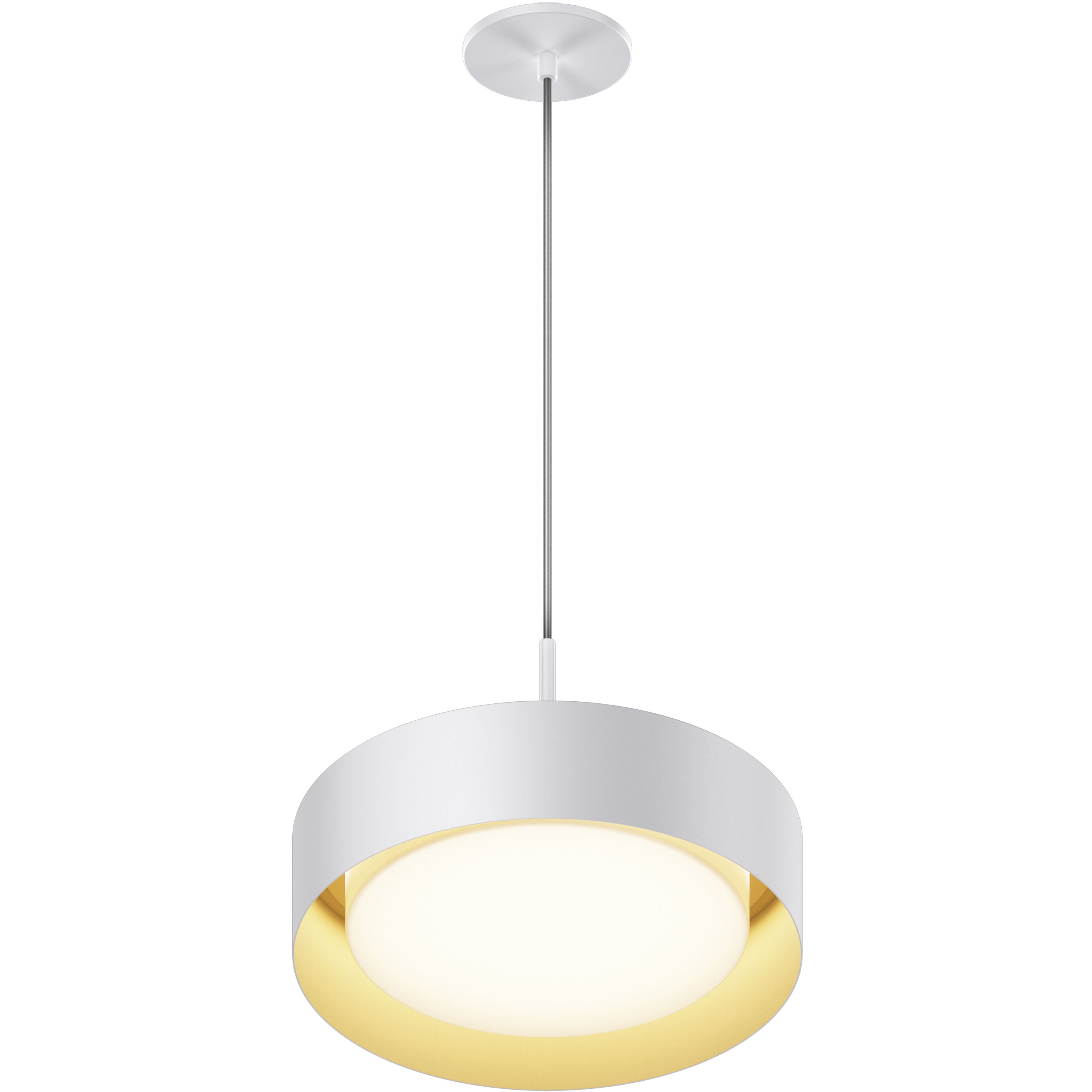 Echo 1 Light 13.00 inch Pendant