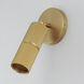 Reeds 1 Light 2.5 inch Gold Flush Mount Ceiling Light