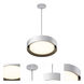 Echo LED 16 inch White and Black Single Pendant Ceiling Light in White/Black