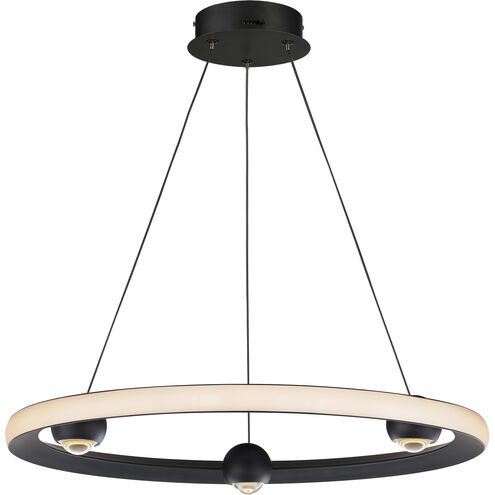 Nodes LED 24 inch Black Ring Pendant Ceiling Light