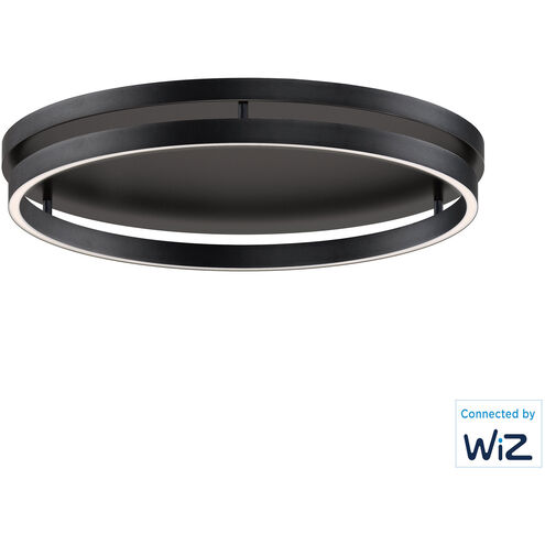 Groove LED 24.5 inch Black Flush Mount Ceiling Light