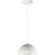 Hemisphere 1 Light 14.00 inch Pendant