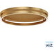 Groove WiZ 1 Light 24.50 inch Flush Mount