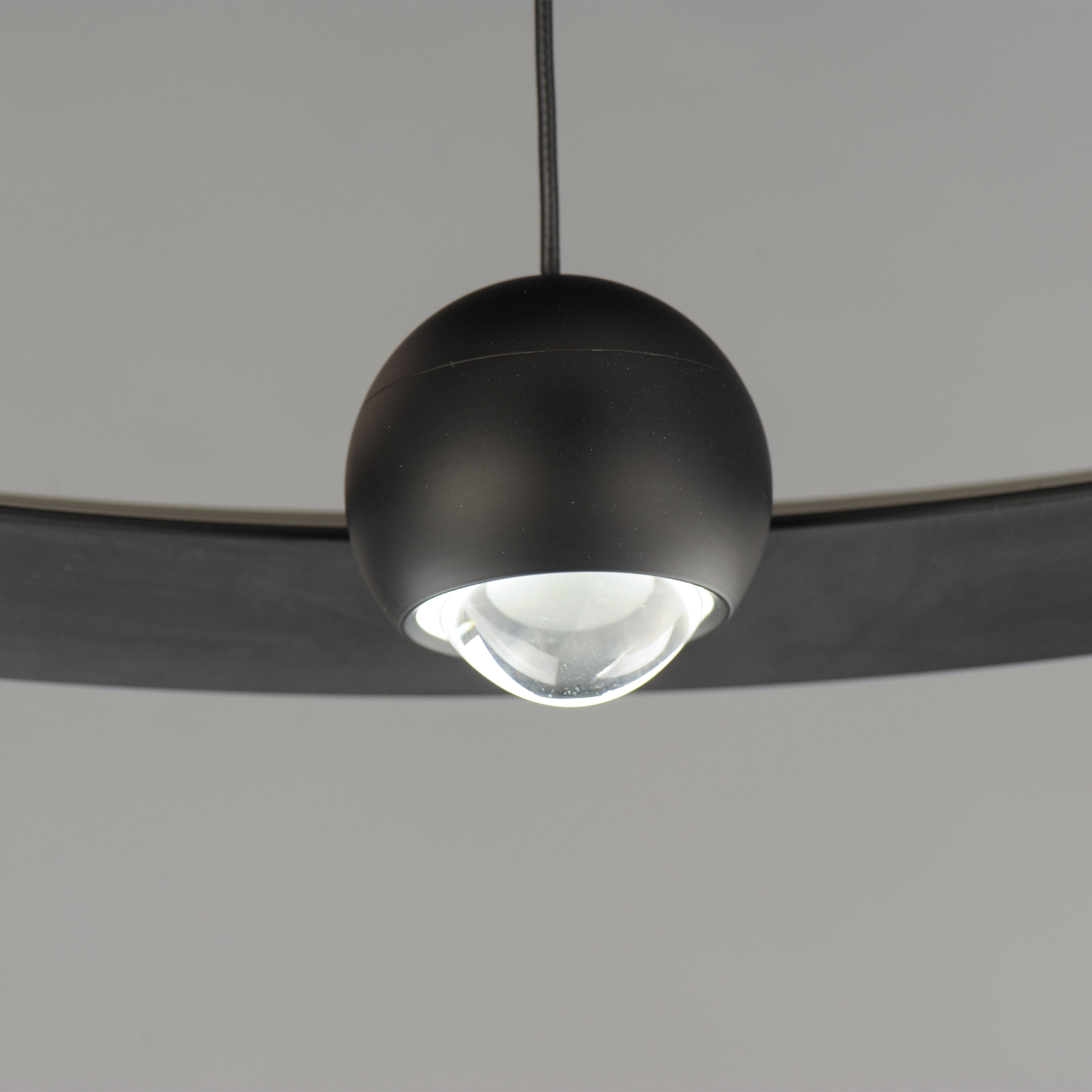 Nodes LED 24 inch Black Ring Pendant Ceiling Light