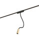 Continuum 1 Light 24 Black and Gold Track Light Ceiling Light in Black/Gold
