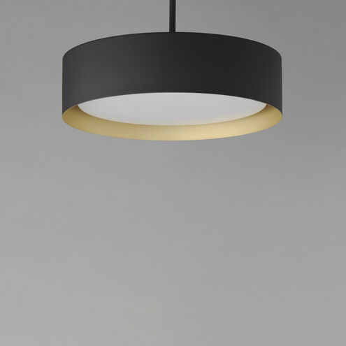 Echo LED 16 inch Black and Gold Single Pendant Ceiling Light in Black/Gold