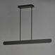 Belt LED 60 inch Black Linear Pendant Ceiling Light