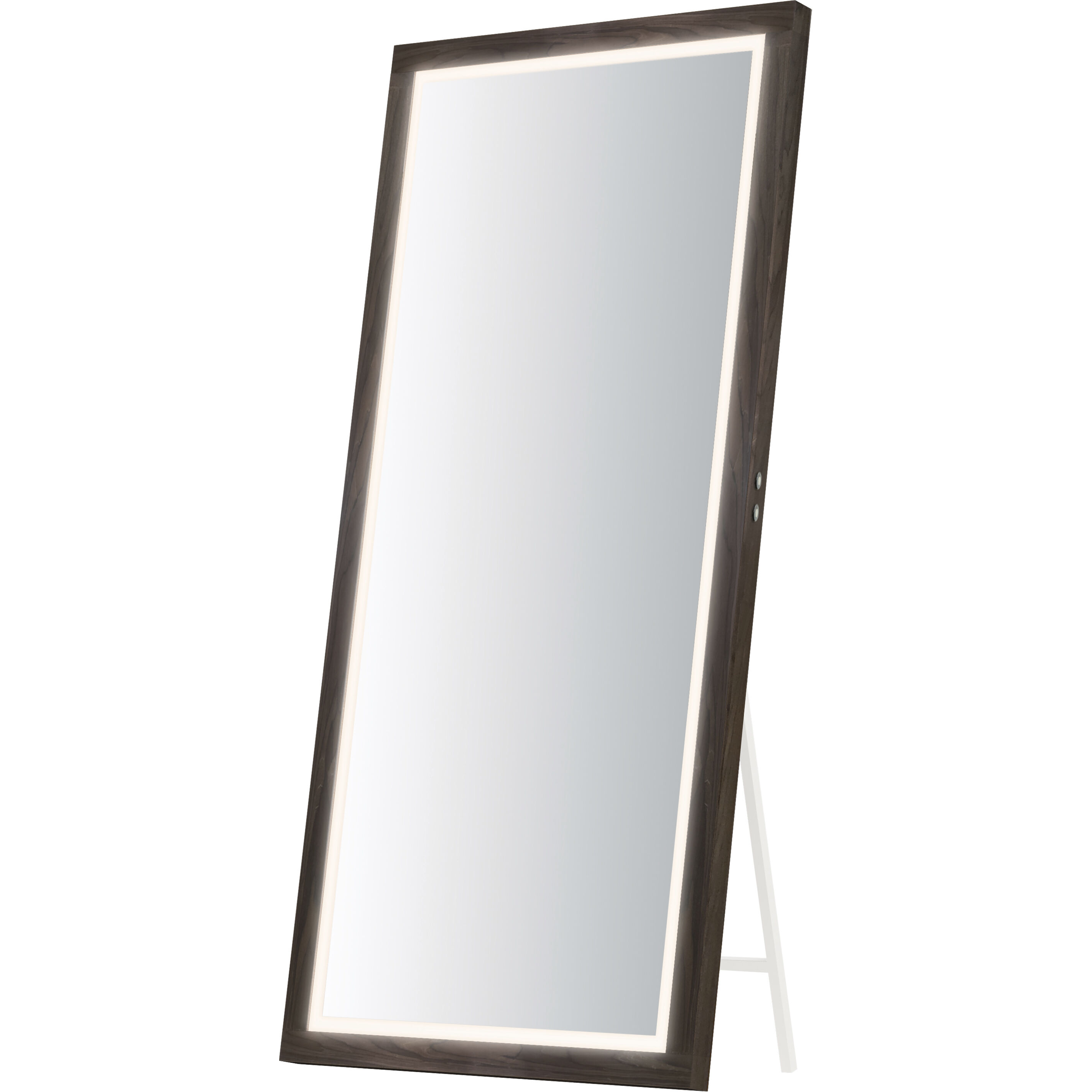 Sawyer 68.00 inch  X 32.00 inch Wall Mirror
