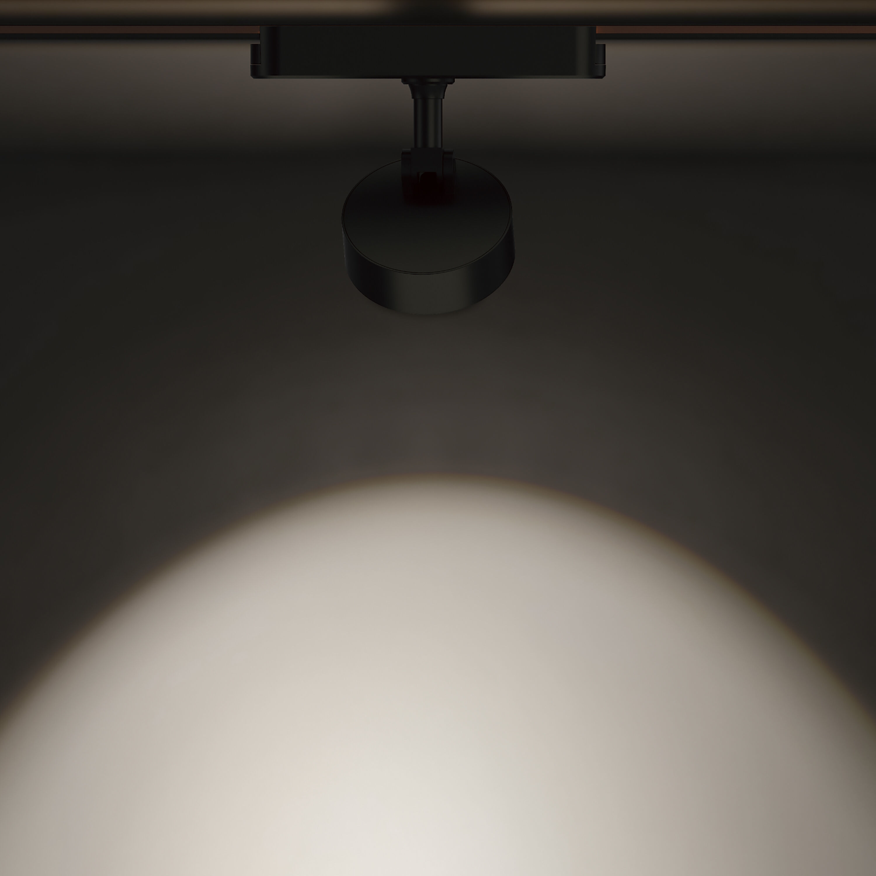 Continuum - Track 1 Light 120 Black Track Light Ceiling Light in White