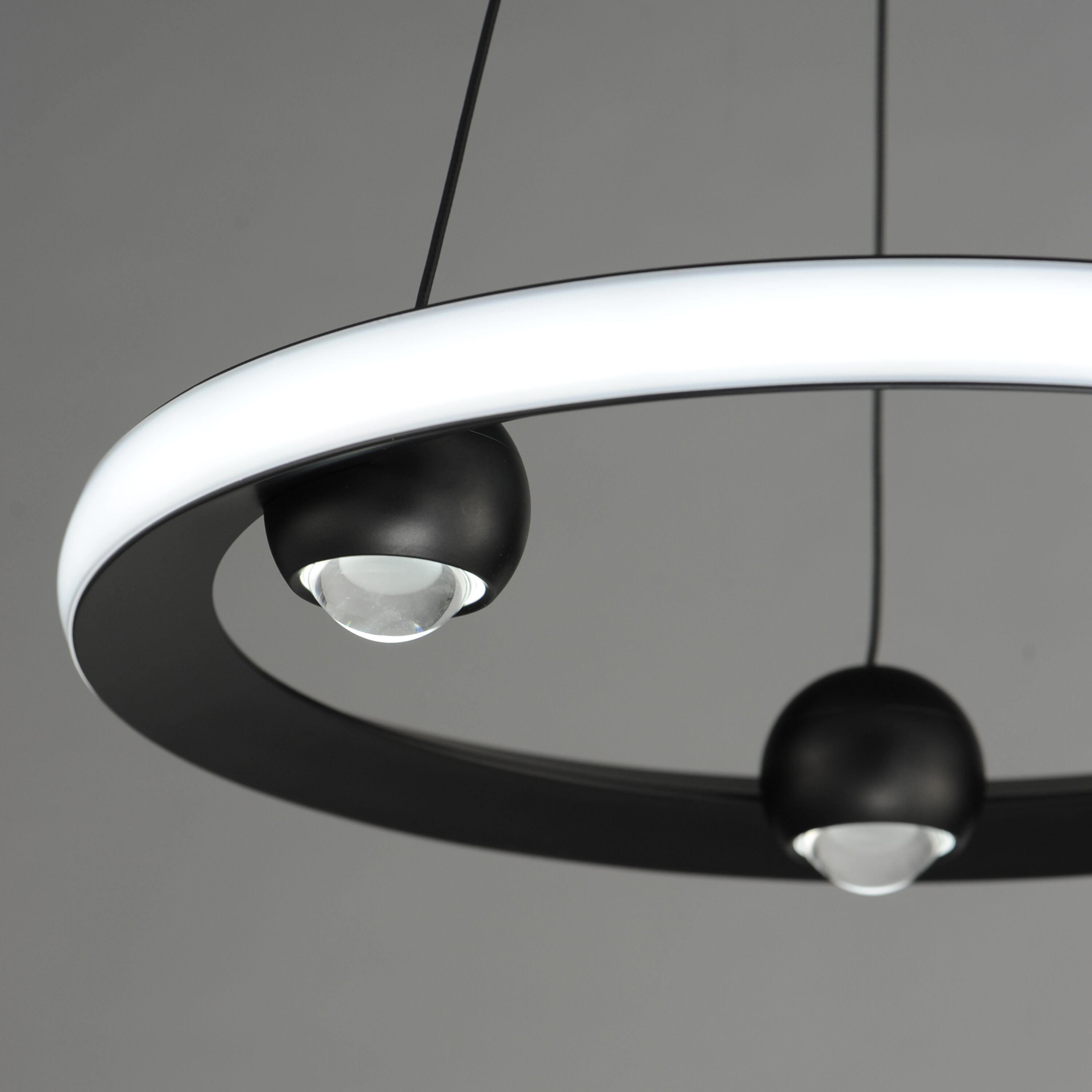Nodes LED 18 inch Black Ring Pendant Ceiling Light
