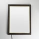Sawyer 32 X 24 inch Walnut LED Wall Mirror