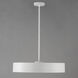 Echo LED 24 inch White and Black Single Pendant Ceiling Light in White/Black