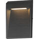 Steppes Outdoor Wall Mount