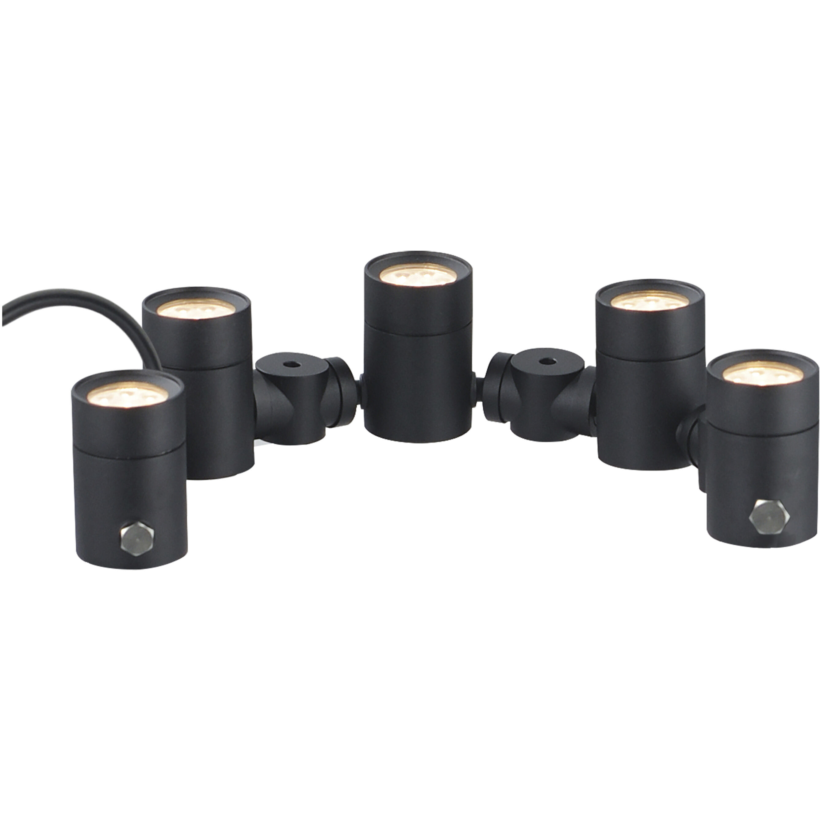 Tree Hugger 12 5 watt Black Outdoor Pathway Light