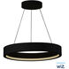 iCorona WiZ LED 27.75 inch Black Pendant Ceiling Light